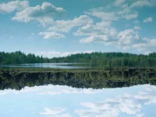 Cedric-Hors-theme-Reflet