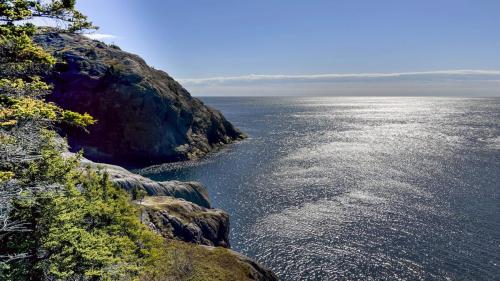 Saint-Johns