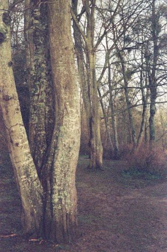 COURTEILLE Expo-2026-1