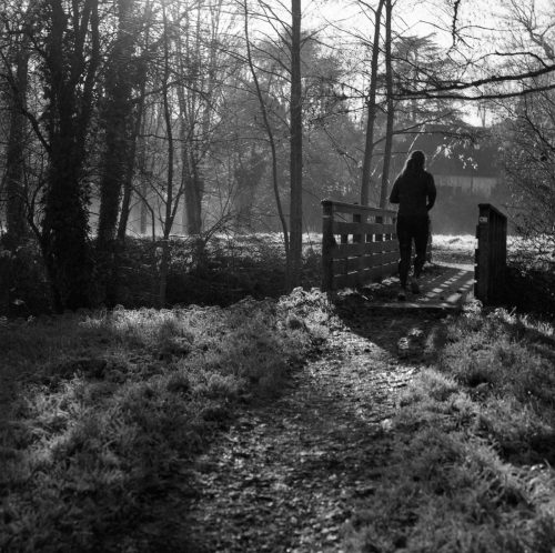 COURTEILLE Expo-2026-2